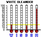 White Oleander (2002) CAP Mini-thermometers